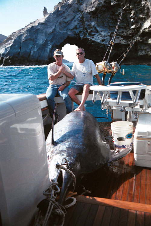A 1,337 pound Atlantic blue marlin caught on a Mold Craft lure