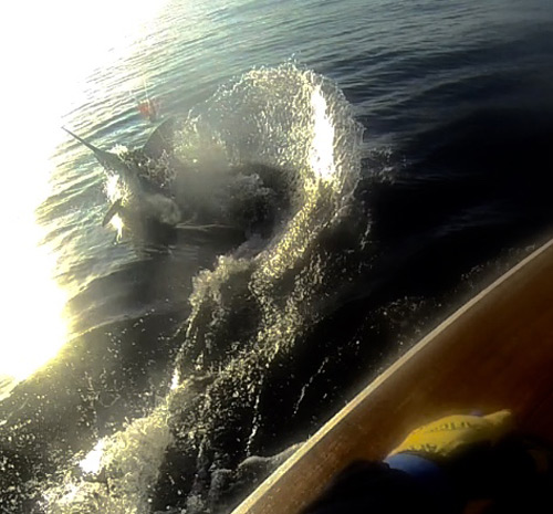 Photo 2 of 6 from 1st Place, Bisbee East Cape Offshore