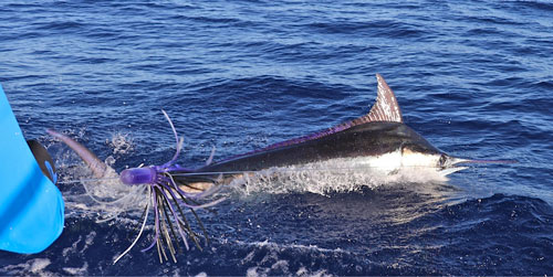 “The Long Rigger Position”