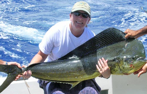 Mahi Mahi on a Wide Range