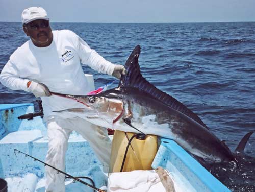 Marlin, Standard Wide Range