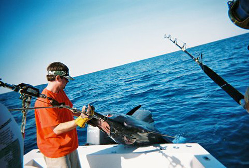 Bluewater Marlin Tournament