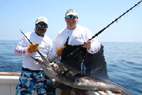 Sailfish Fly-Fishing Charter