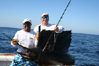 Photo 2 of 3 from Sailfish Fly-Fishing Charter