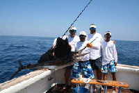 Photo 3 of 3 from Sailfish Fly-Fishing Charter